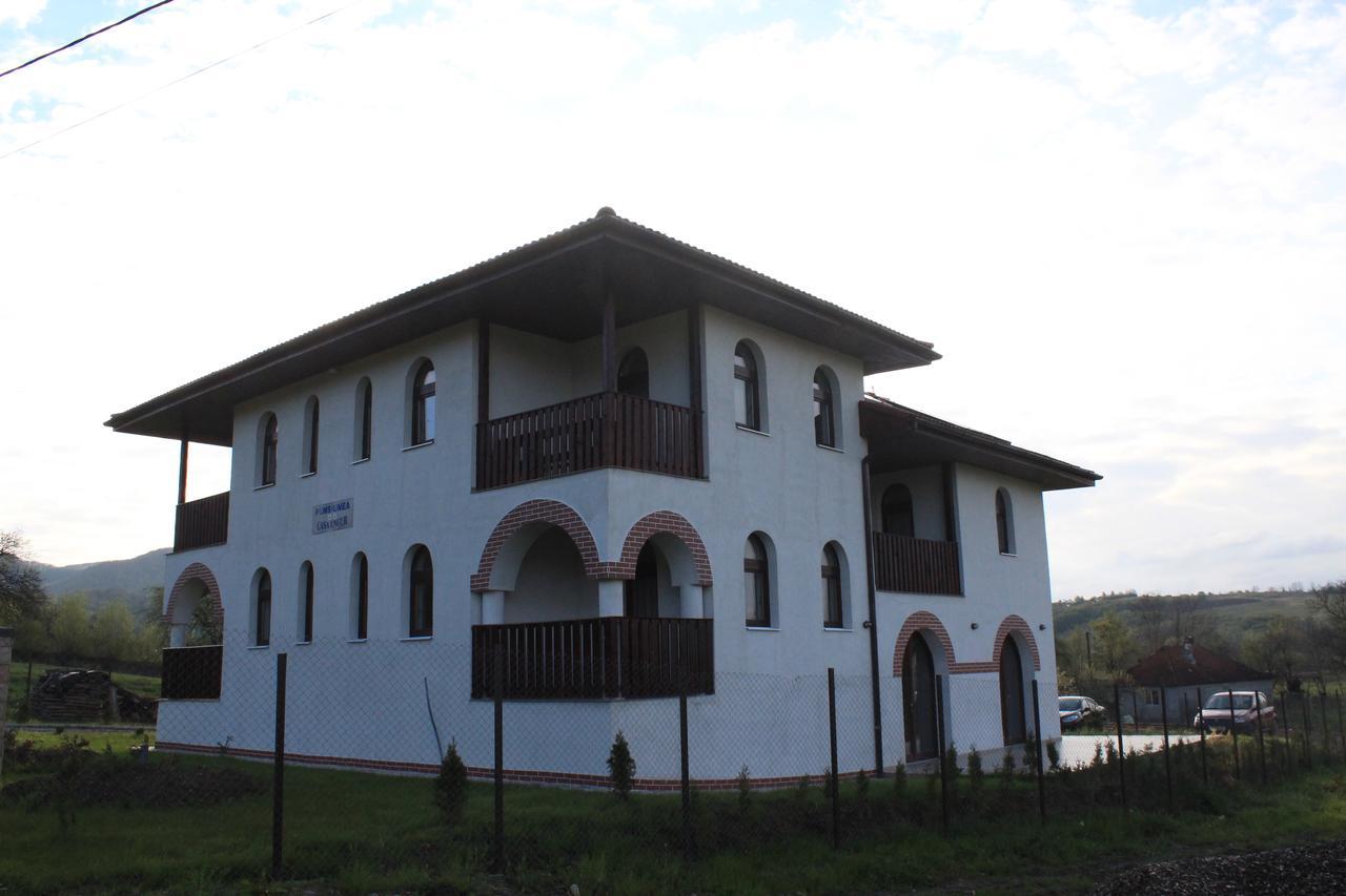 Pensiunea Casa Ungur Cetea エクステリア 写真
