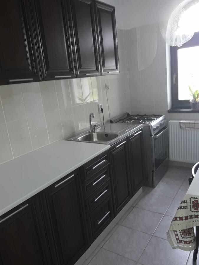 Pensiunea Casa Ungur Cetea エクステリア 写真