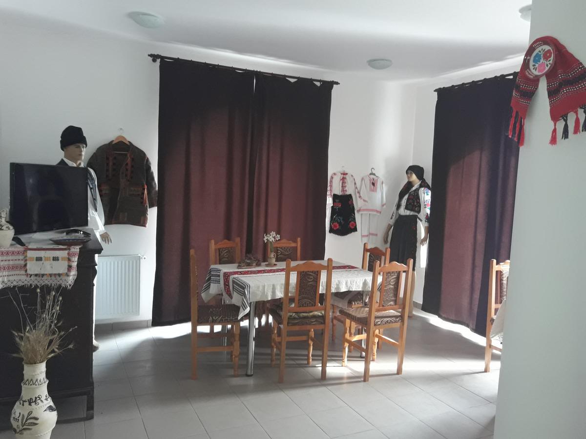 Pensiunea Casa Ungur Cetea エクステリア 写真