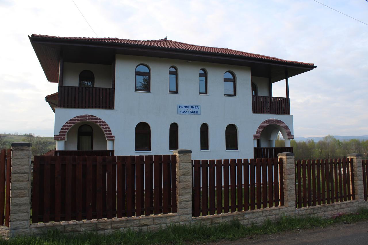 Pensiunea Casa Ungur Cetea エクステリア 写真